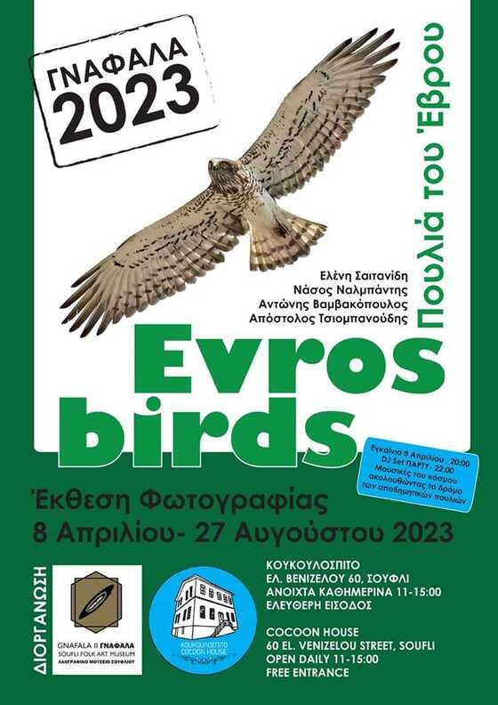 Σπάνια αρπακτικά αλλά και πανέμορφα πουλιά σε μία έκθεση ζωγραφικής στο Σουφλί